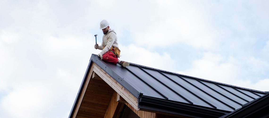 Professional Roofing Contractor